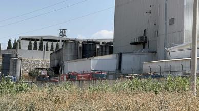 Manisa'da balık yemi fabrikasında yangın: Soruşturma başlatıldı