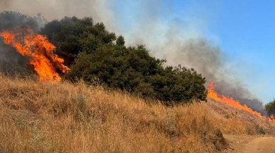 Balıkesir Erdek'te orman yangını