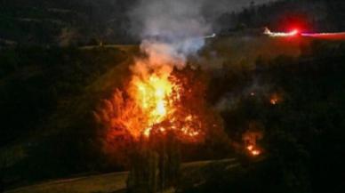 Manisa ve Uşak'taki orman yangınları kontrol altına alındı