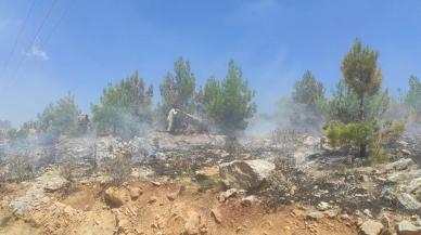 Mersin'de dört noktada orman yangını...Tutuklular birbirini suçladı: 'Psikolojim bozuk, yakacağım burayı'