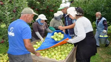 Elmada kalıntı şüphesiyle 47 üreticiye ceza kesildi