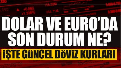 23 Eylül Perşembe dolar ve euro fiyatları - Dolar/TL kaç lira? Euro/Tl kaç lira?