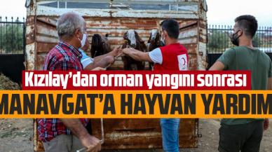 Kızılay'dan Manavgat'a küçükbaş hayvan yardımı