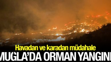 Muğla'da orman yangını! Havadan ve karadan müdahalede bulunuluyor