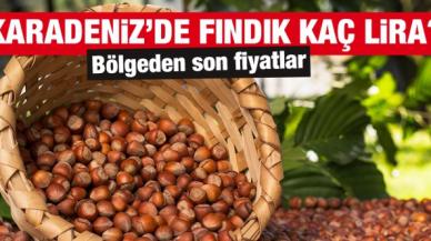 15 Ekim 2021 Cuma fındık fiyatları | Fındık kaç lira? Güncel fındık fiyatı