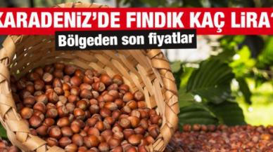 26 Ekim 2021 Salı fındık fiyatları | Fındık kaç lira? Güncel fındık fiyatı