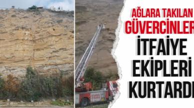 Silivri'de çelik ağlara takılan güvercinleri itfaiye ekipleri kurtardı