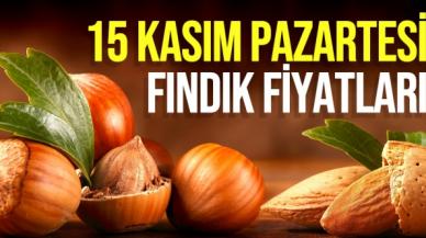 15 Kasım 2021 Pazartesi fındık fiyatları | Fındık kaç lira? Güncel fındık fiyatı