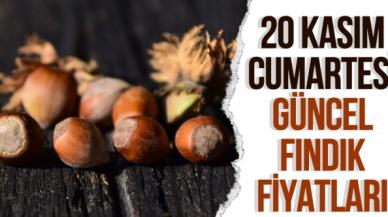 20 Kasım 2021 Cumartesi fındık fiyatları | Fındık kaç lira? Güncel fındık fiyatı