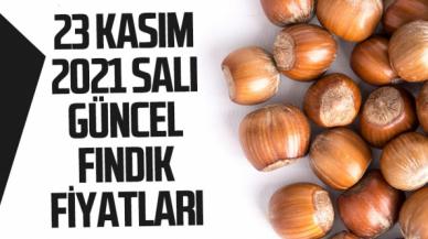 23 Kasım 2021 Salı fındık fiyatları | Fındık kaç lira? Güncel fındık fiyatı