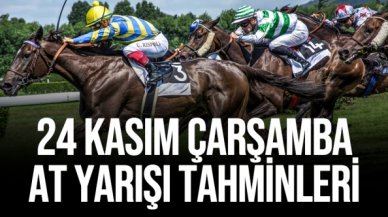 24 Kasım 2021 Çarşamba İstanbul ve Bursa At Yarışı Tahminleri (izle) - TAY TV ve TJK TV