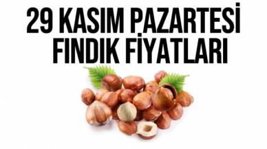 29 Kasım 2021 Pazartesi fındık fiyatları | Fındık kaç lira? Güncel fındık fiyatı