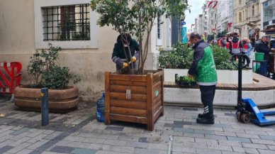 Beyoğlu çiçek açıyor