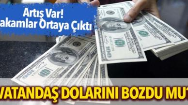 Vatandaş yeni mevduatı duyunca dövizini sattı mı?