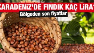 21 Ocak 2022 Cuma fındık fiyatları | Fındık kaç lira? Güncel fındık fiyatı