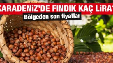 25 Ocak 2022 Salı fındık fiyatları | Fındık kaç lira? Güncel fındık fiyatı