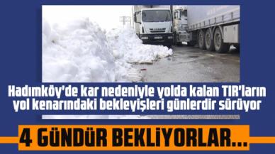 Hadımköy'de mahsur kalan TIR şoförleri yollar açılmasına rağmen parklara giremiyor