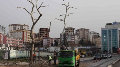 Kar yağışından etkilenen ağaçlara Kartal Belediyesi ekiplerinden anında müdahale