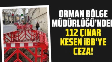 112 çınar kesen İBB'ye ceza!