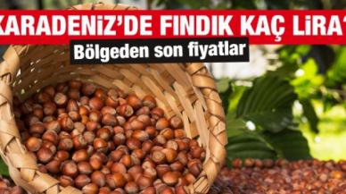 27 Mart 2022 Pazar fındık fiyatları | Fındık kaç lira?