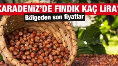 Fındık kaç lira? 31 Mart Perşembe güncel fındık fiyatları