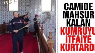 Avcılar'da camide mahsur kalan kumruyu itfaiye kurtardı