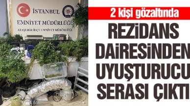 Rezidans dairesinden uyuşturucu serası çıktı