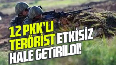 12 PKK'lı terörist etkisiz hale getirildi