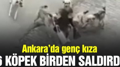 Ankara'da genç kıza 6 köpek birden saldırdı