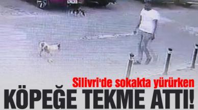 Silivri'de köpeğe tekme attı