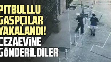 Beyoğlu'nda pitbulllu gaspçılar yakalandı