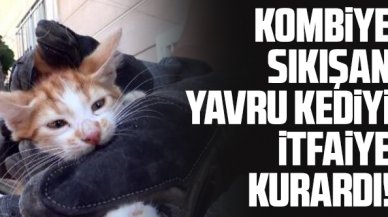 Yavru kedi kombiye sıkıştı, itfaiye ekibi kurtardı