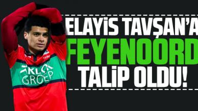 Elayis Tavşan'a Feyenoord kancası