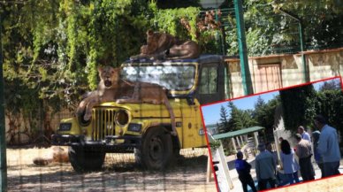 Mahalle arasındaki hayvanat bahçesi mühürlendi