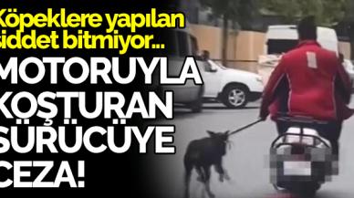 Bağcılar'da motosikletin yanında köpeği koşturan şüpheliye ceza