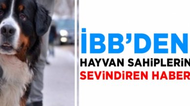 Evcil hayvanlara otobüs izni çıktı