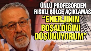 Prof. Dr. Naci Görür, Düzce'deki depremin ardından riskli bölgeyi açıkladı