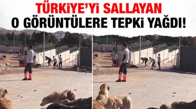 Konya'daki vahşete ünlüler tepki yağdırdı!