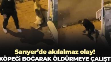 Sarıyer'de köpeği boğmaya çalışan kişi tutuklandı