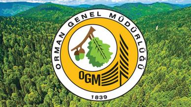 Orman Genel Müdürlüğü 249 Orman Mühendisi alacak