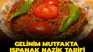 Gelinim Mutfakta Ispanak Nazik nasıl yapılır? Tarifi, malzemeleri ve yapılışı