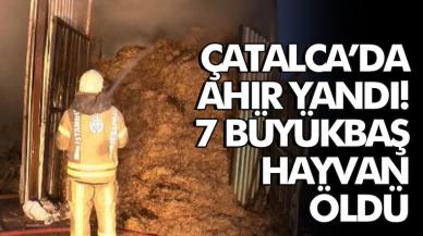 Çatalca'da yanan ahırda 7 büyükbaş hayvan öldü