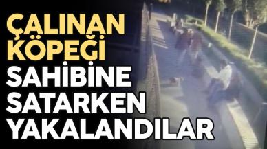 Şişli’de çalınan köpeği sahibine satmak isterken yakalandılar