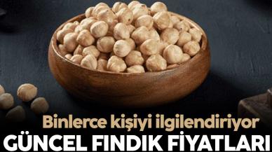 Fındık fiyatları 6 Şubat 2023! Pazartesi fındık fiyatı ne kadar?