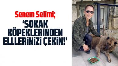 Senem Selimi: Sokak köpeklerinden elinizi çekin!