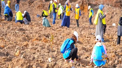 Şile’de 1 milyon adet fidan doğa ile buluştu