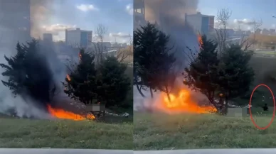 Ağaçlık alanda yangın çıkardı, oturup dakikalarca izledi!