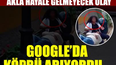 Google Haritalar'da köprü ararken aldatıldığını öğrendi!