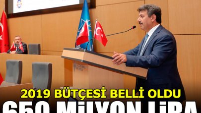 2019 yılı bütçesi 650 milyon TL