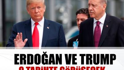 Erdoğan ile Trump 11 Kasım'da görüşecek